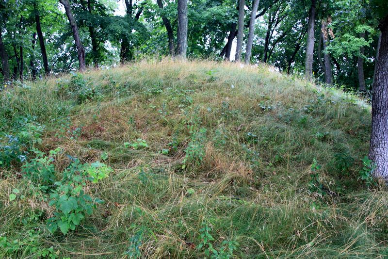 Click to see next picture