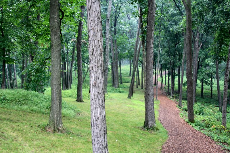 Click to see thumbs page