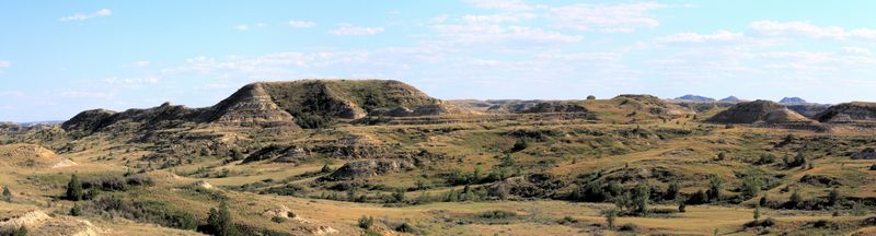 Click to see next picture