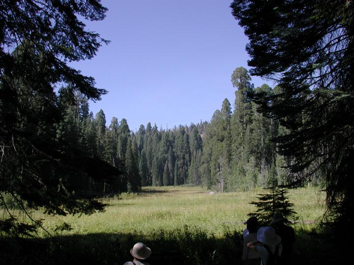 Crescent Meadow