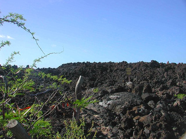 Click to see next picture