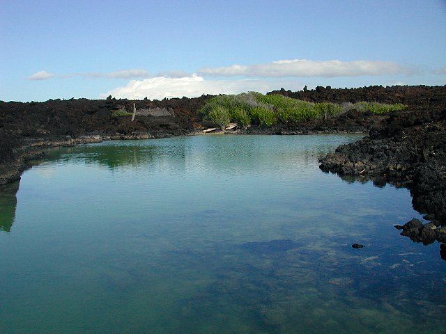 Click to see next picture