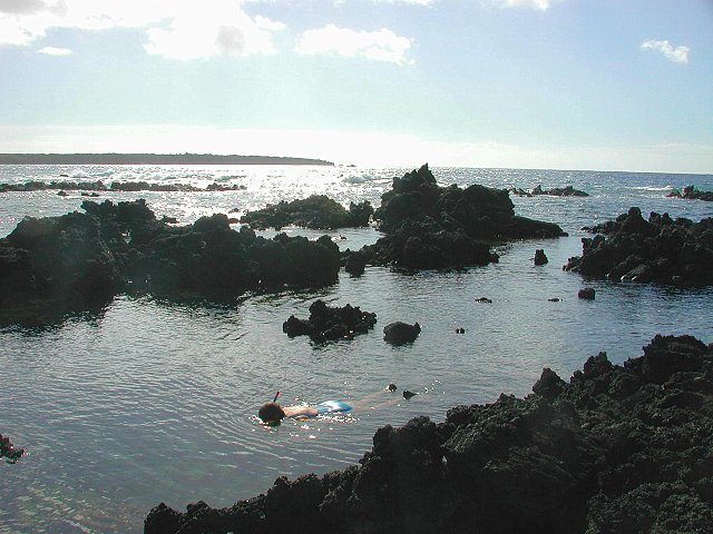 Click to see next picture