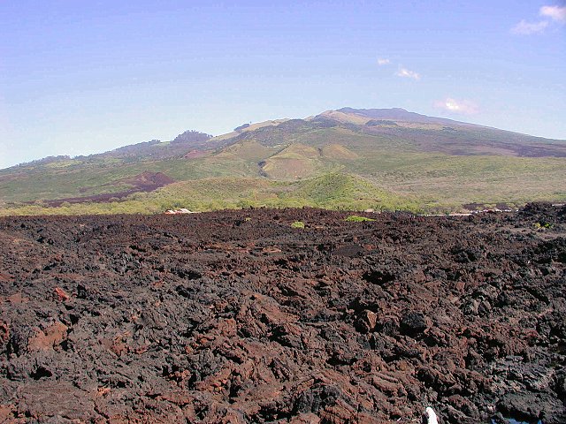 Click to see next picture