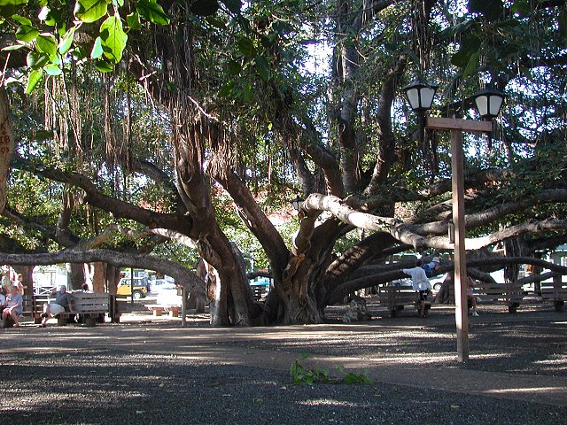 Click to see next picture