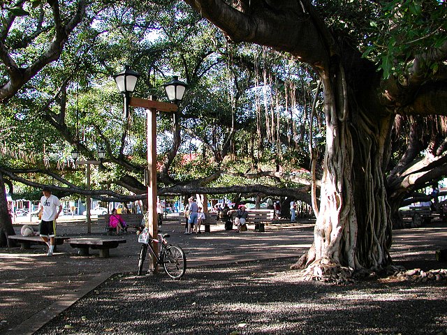 Click to see next picture