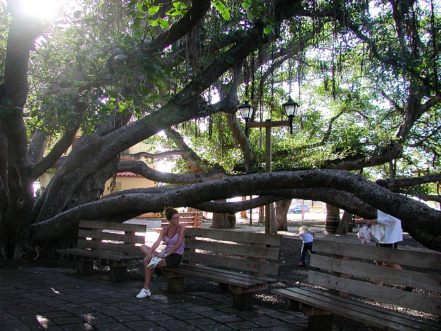 Click to see next picture