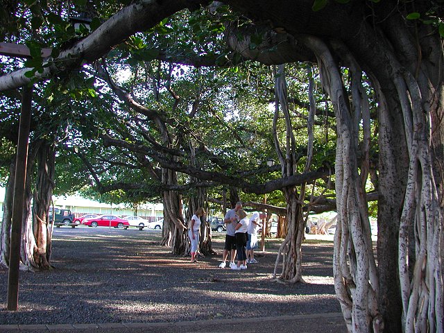 Click to see next picture