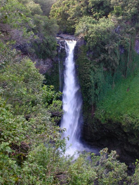 Click to see next picture