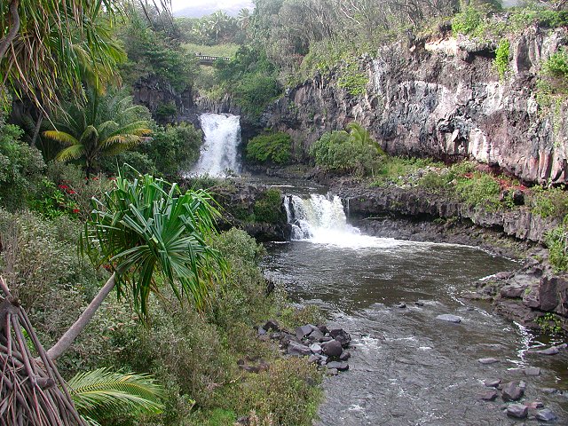 Click to see next picture