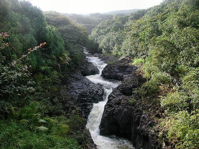 Click to see next picture