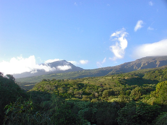 Click to see next picture