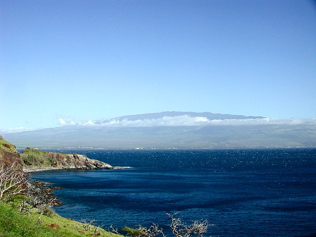 Click to see next picture