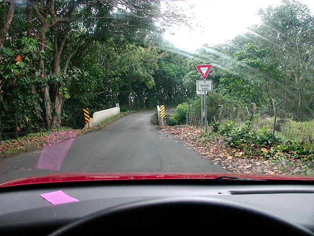 Click to see next picture