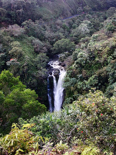 Click to see next picture