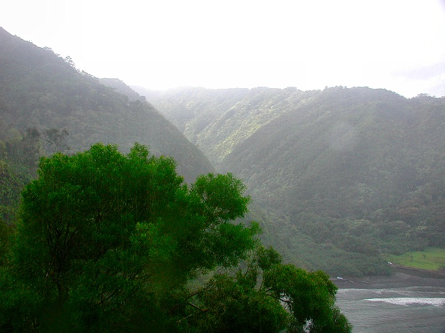 Click to see next picture