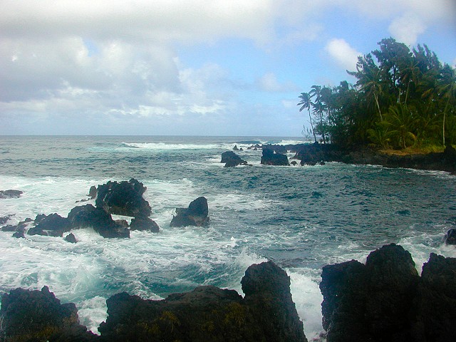 Click to see next picture