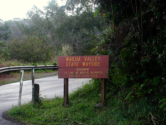 Click to see next picture