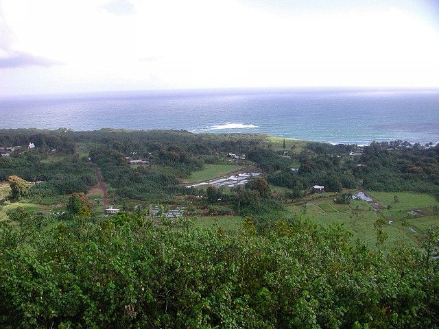 Click to see next picture