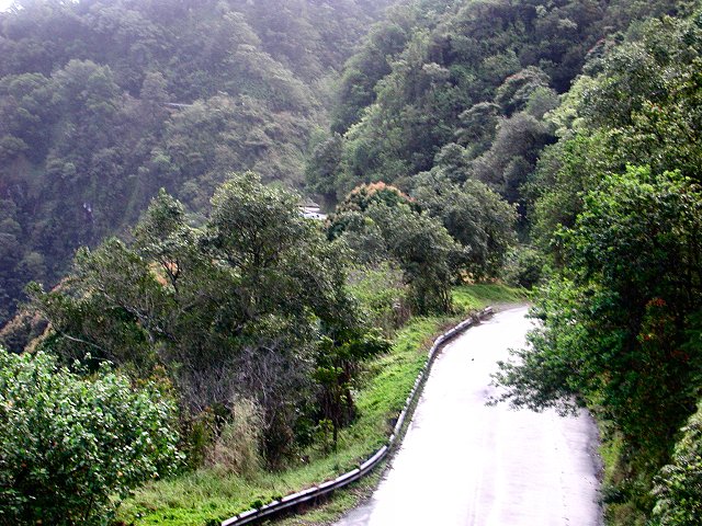 Click to see next picture