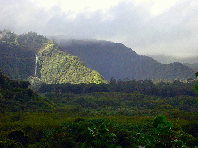 Click to see next picture