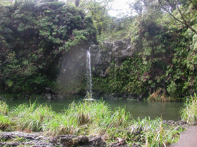 Click to see next picture