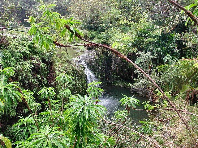 Click to see next picture