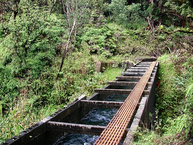 Click to see next picture