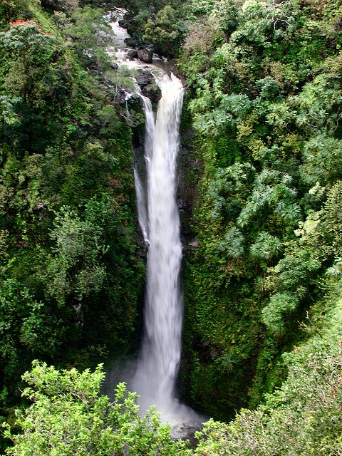 Click to see next picture