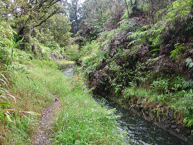 Click to see next picture