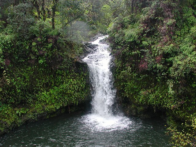 Click to see next picture