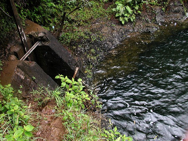 Click to see next picture