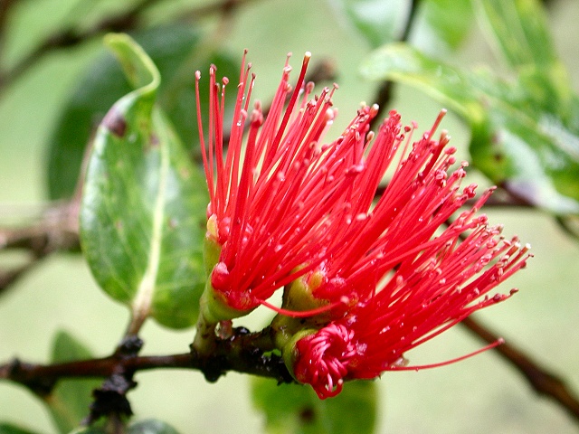 Click to see next picture