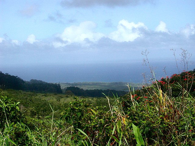 Click to see next picture