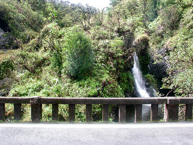 Click to see next picture