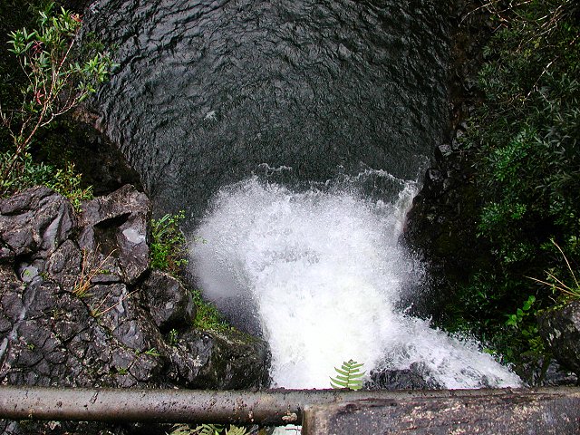 Click to see next picture