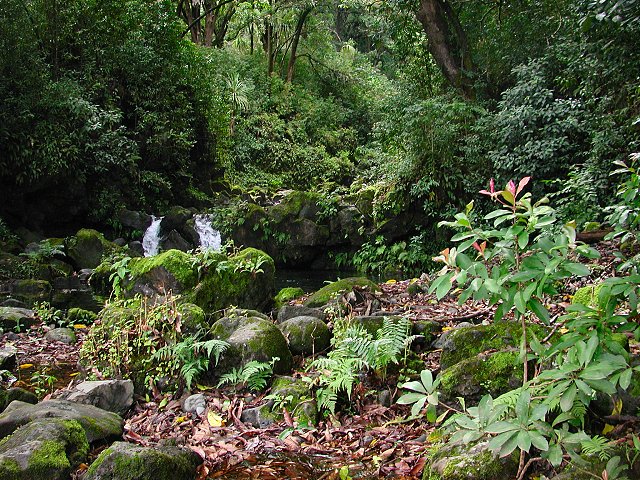 Click to see thumbs page