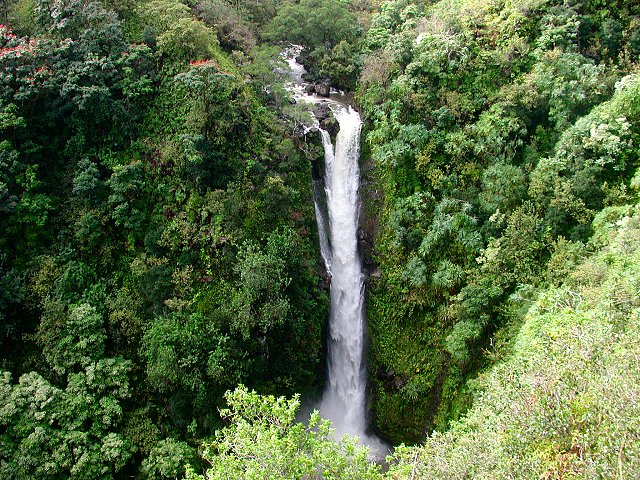 Click to see next picture