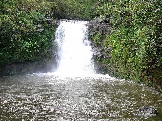 Click to see next picture