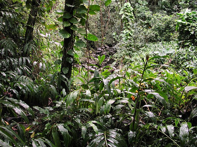 Click to see next picture