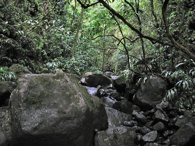 Click to see next picture