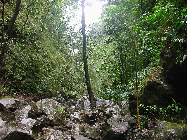 Click to see next picture