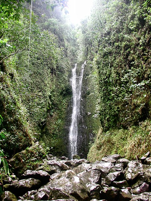 Click to see next picture