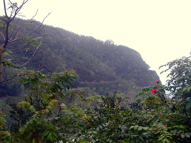 Click to see next picture