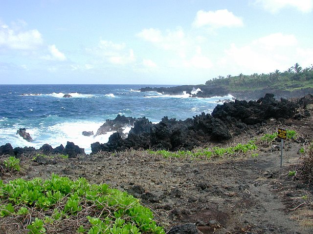 Click to see next picture