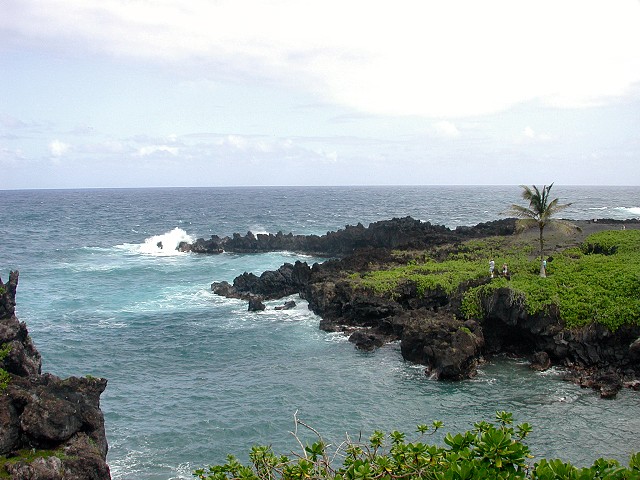 Click to see next picture