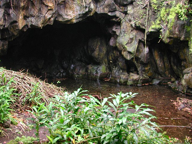 Click to see next picture