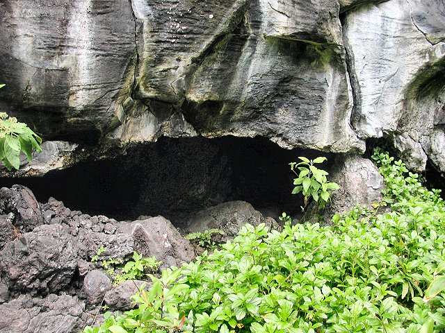 Click to see next picture