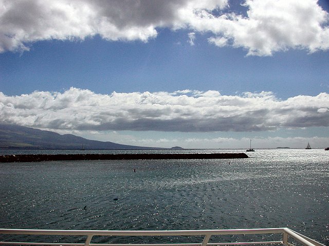 Click to see next picture