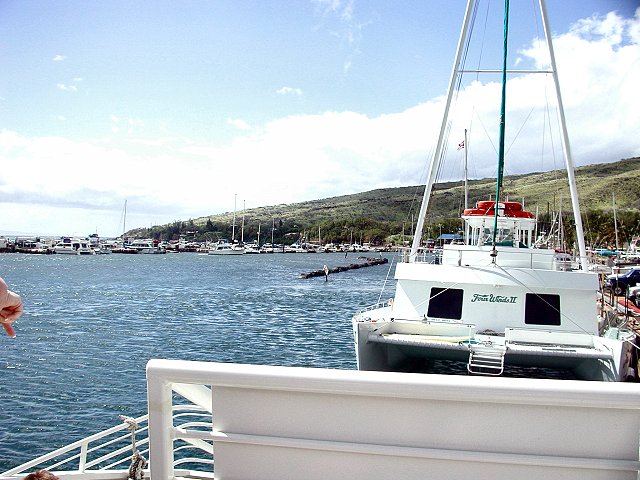 Click to see next picture